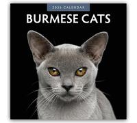 Burmese Cats 2026 Square Wall Calendar: Original Red Robin Publishing Ltd-Kalender [Mehrsprachig] [Kalender]
