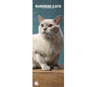 Burmese Cats 2026 Wall Calendar, 12-Month Slim Format, Made in England