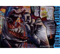 Burn After Reading by Romany Wg (2012) Hardcover