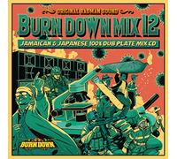 BURN DOWN MIX 12