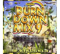 BURN DOWN MIX 9