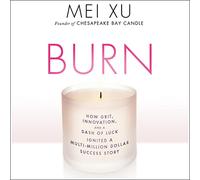 Burn: How Grit, Innovation, and a Dash of Luck Ignited a Multi-Million Dollar Success Story