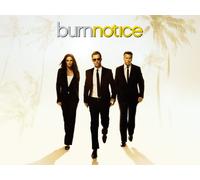 Burn Notice Season 6