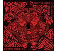 Burn Pilot - Taurus Triangle