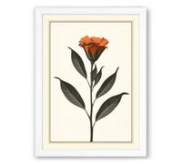 Burned Orange Bloom Botanical Framed Wall Art Print A4 (29.7×21cm) White, Wall Decor for Living Room, Bedroom, Office & Home, Ready to Hang, Art Gift
