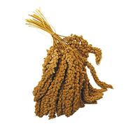 Burnhills Millet Sprays 1Kg - Bird Treat