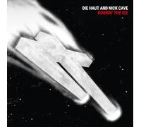 Burnin' The Ice/Reissue [VINYL]