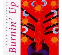 Burnin' Up
