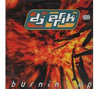 Burnin' up [VINYL]