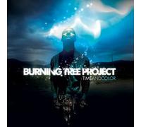 Burning Tree Project - Time & Color