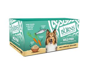 Burns PENLAN WILD FISH 150G 12PK, White