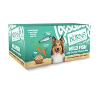 Burns Pet Natural Nutrition Adult & Senior Wet Dog Food Wild Fish, Carrots & Wholegrain Brown Rice 12 x 150gm