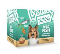 Burns Pet Natural Nutrition Adult & Senior Wet Dog Food Wild Fish, Carrots & Wholegrain Brown Rice 6 x 395gm