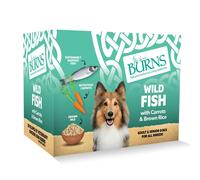 Burns Pet Natural Nutrition Adult & Senior Wet Dog Food Wild Fish, Carrots & Wholegrain Brown Rice 6 x 395gm