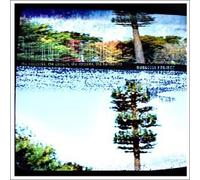 Burnside Project - The Networks, The Circuits, The Streams