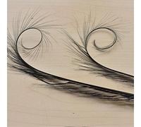Burnt Curled Eyelash Effect Feather Double Pheasant Tails Motif Feather Mount for Millinery Hats Craft Florists Art