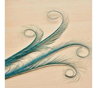 Burnt Curled Eyelash Effect Feather Double Pheasant Tails Motif Feather Mount for Millinery Hats Craft Florists Art