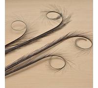 Burnt Curled Eyelash Effect Feather Double Pheasant Tails Motif Feather Mount for Millinery Hats Craft Florists Art