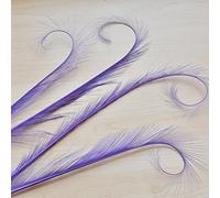 Burnt Curled Eyelash Effect Feather Double Pheasant Tails Motif Feather Mount for Millinery Hats Craft Florists Art
