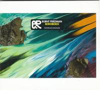 Burnt Friedman - Bokoboko