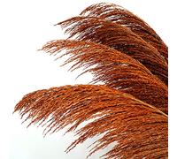 Burnt Orange Pampas Grass Decor Tall,Large Pampas Floral Fluffy,Long Feather Flowers for Boho Wedding Arangement Bedroom Living Room Decorations (burnt orange, 8pcs 31.5"/80cm)