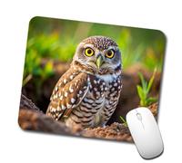 Burrowing Owl Raptor Bird Of Prey Mouse Pad Washable Mousepad Portable Mouse Mat For Travel Pc Laptop 25X30Cm