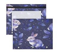 BURSTDDY Cute Rabbit Pencil Pouch for 3 Ring Binder,2 Pack Pencil Case with Zipper Clear Window Pencil Bag for Office School College Supplies