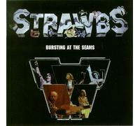 BURSTING AT THE SEAMS VINYL LP[AMLH68144]1973 WITH INNER
