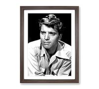 Burt Lancaster Modern Framed Print | A3 Walnut Framed Wall Art | Ready to Hang | Modern Nature Picture | Living Room Bedroom Lounge Office