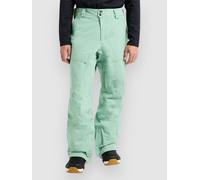 Burton AK Gore-Tex Swash Pants soft sage L