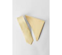 Burton Men's Lemon Tie & Pocket Square Burton Lemon One Size