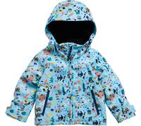Burton Hillslope 2l Jacket