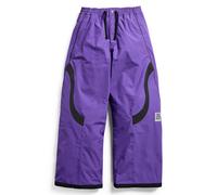 Burton Zeb 2L Baggy Simple Mens Pants Planet Purple