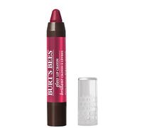 Burt's Bees Lip Crayon Gloss and Matte