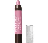 Burt's Bees 100% Natural Origin Moisturizing Matte Lip Crayon Carolina Coast - 1 Crayon