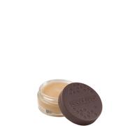 Burt’s Bees Lip Treatment Intense Overnight Treatment for Lips 7.08 g