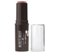 Burt's Bees All Aglow Lip and Cheek Stick, 8.5 g, Peach Pond