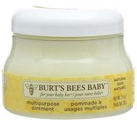 Burt's Bees Baby Bee Multipurpose Ointment, 210g