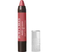 Burts Bees Burts Bees Lip Crayon - # 417 Niagara Overlook - 0.11 oz Lipstick