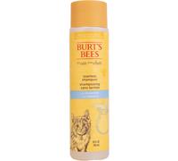 BURT'S BEES FOR PETS Naturally Derived Tearless Kitten Shampoo with Bu