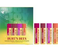 Burt's Bees Fruit Lip Balm Gift Set, Peach, Watermelon, Pomegranate & Dragonfruit