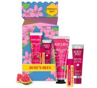 Burt's Bees Gift Set, Watermelon Hand