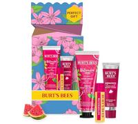 Burt's Bees Gift Set, Watermelon Hand Cream, Lip Balm & Squeezy Tinted Lip Balm, You're One In A Melon Limited Edition