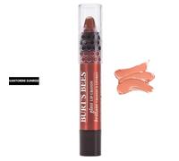 Burt's Bees Lip Crayon Brand New & Sealed You Choose Shade Gloss or Matte