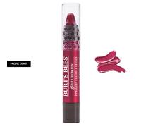 Burt's Bees Lip Crayon Brand New & Sealed You Choose Shade Gloss or Matte