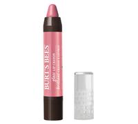 Burt's Bees 100% Natural, Gloss Lip Crayon, Pink Lagoon, 2.83 g