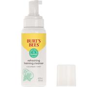 Burt's Bees Skin Nourishment Gentle Foaming Cleanser, 4.8 oz