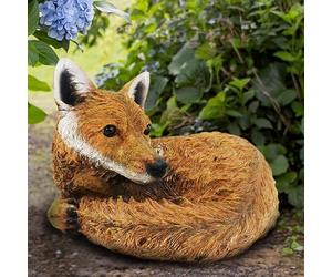 Burwells Curled up Fox Ornament - Weather Resistant Hand Painted Polyresin Outdoor Garden Animal Sculpture Statue Decoration for Patio, Lawn, Border - Measures H21 x W30cm x D24cm
