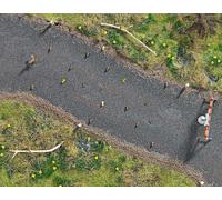Busch 1150 Toad migration area signs and barricades with toads