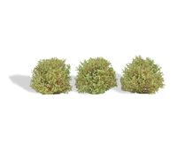 Busch 13606 3 Bushes Spring H0, New 2026